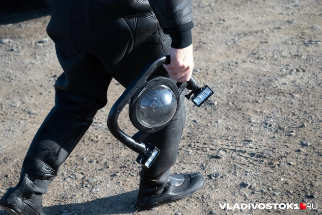 Источник: Елена Буйвол / VLADIVOSTOK1.RU