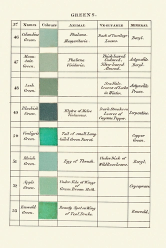 Классификатор цветов XIX века (фото 5)