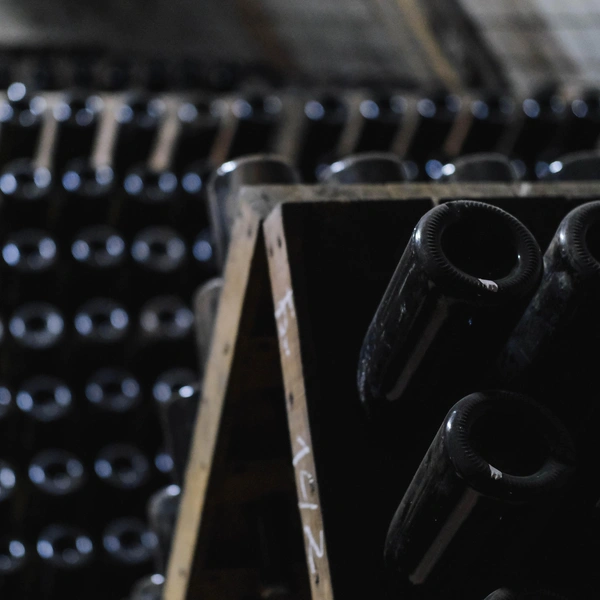 Источник: Марина Тюляева