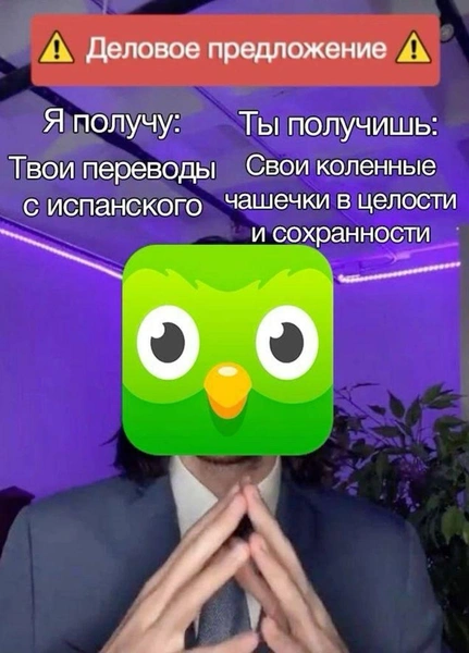 Лучшие мемы про маниакальную сову Duolingo