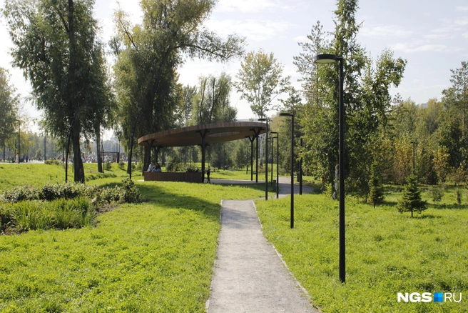 Дорожка в парке «Арена» | Источник: Стас Соколов / NGS.RU