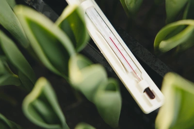 В Тульской области весна начнется 10 марта