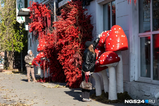 До верхушки даже не дотянуться  | Источник: Мария Ленц / NGS24.RU 