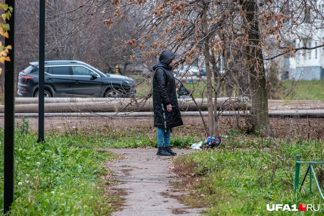 Погулять с утра с собачкой — это святое | Источник: Булат Салихов / UFA1.RU
