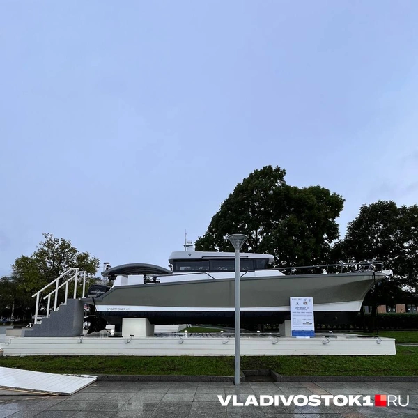 Источник: Алиса Князева / VLADIVOSTOK1.RU