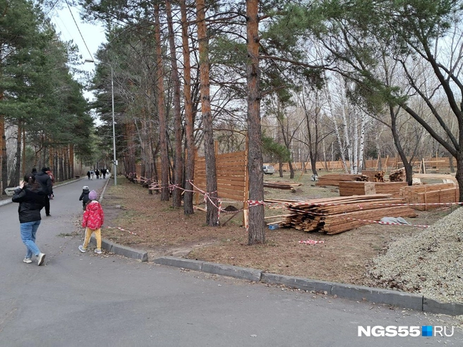Так сейчас выглядит территория  | Источник: Олеся Шулицкая / NGS55.RU