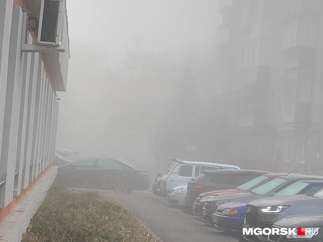 Пока туман держится | Источник: читатель MGORSK.RU
