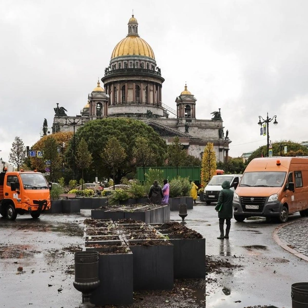 Источник: комитет по благоустройству Санкт-Петербурга