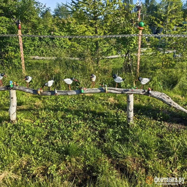 Источник: Ксения Потеева / «Фонтанка.ру»