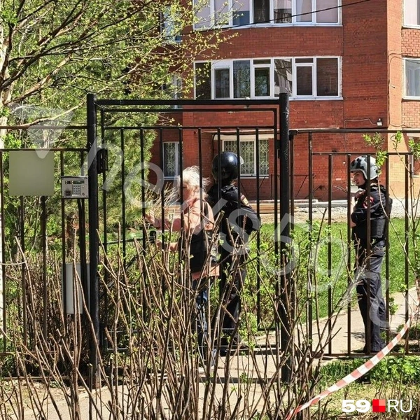 Источник: 59.RU