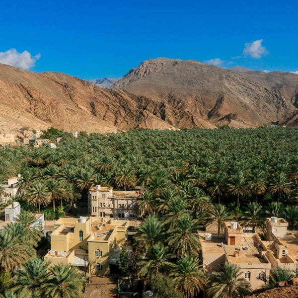 Источник: Dave Primov/Shutterstock/Fotodom.ru