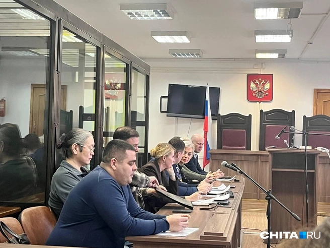 Суд по Парку угольщиков. Финал: часть третья — Попова просила признать ее невиновной, а заседание перенесли (снова) | Источник: Александр Хамраев