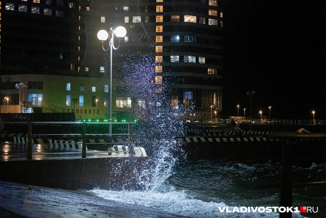 Источник: Елена Буйвол / VLADIVOSTOK1.RU