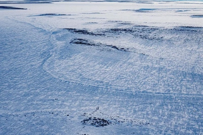 На Ямале прогнозируют гололед и изморозь
