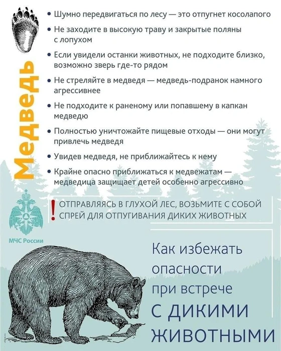 Спасатели рассказывали, как действовать | Источник: МЧС России