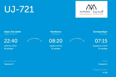 Два самолета в Екатеринбург сели в Челябинске из-за метели