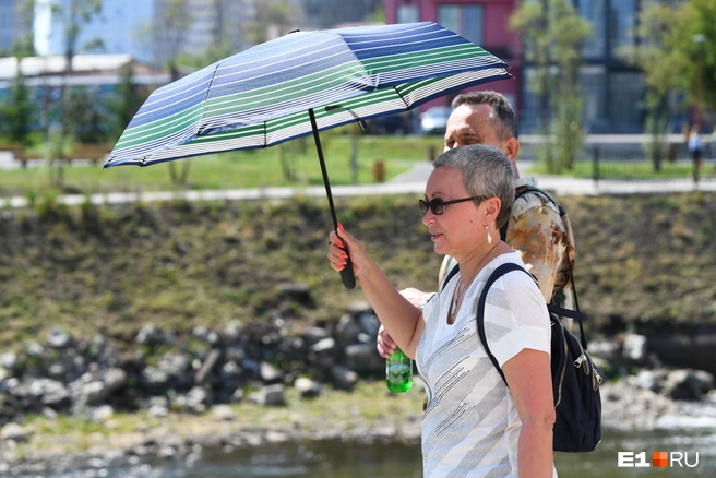 Зонты спасают в любой ситуации  | Источник: Артем Устюжанин / E1.RU