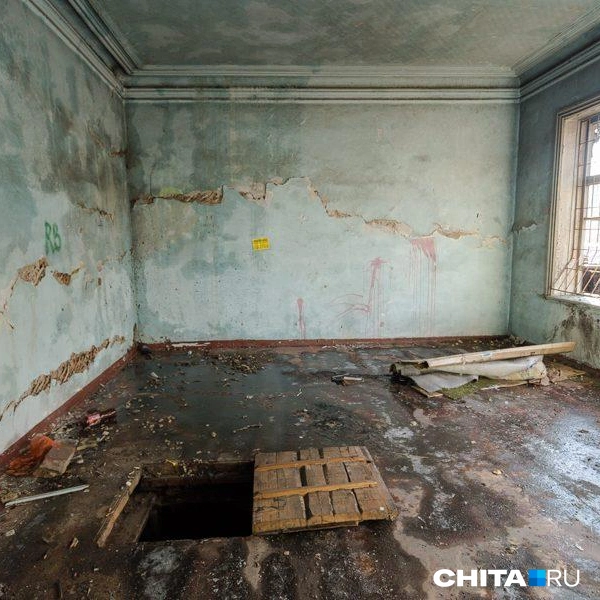 Источник: Ксения Зимина / CHITA.RU