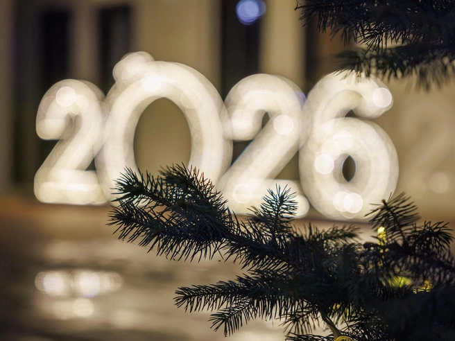 Композиция «2026» на фоне ёлки выглядит очаровательно. | Источник: Алексей Волхонский / V1.RU