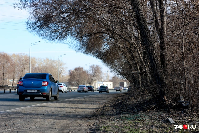 Кстати, цивилизованно выбросить мусор на трассе негде | Источник: Наталья Лапцевич