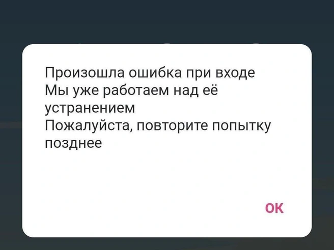 В приложение зайти невозможно | Источник: читательница E1.RU