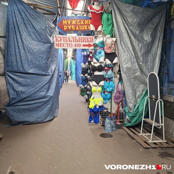 Источник: Алёна Воропаева / Voronezh1.ru