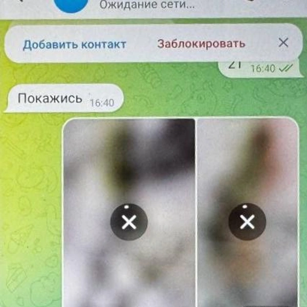 В аккаунте девушки называли себя красивыми кошечками, которые нуждается в поддержке щедрого мужчины | Источник: Анастасия Копыркина/ E1. RU