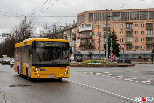 В компании не заметили проблем с бензином и ценами на него  | Источник: Александр Куренной / 76.RU