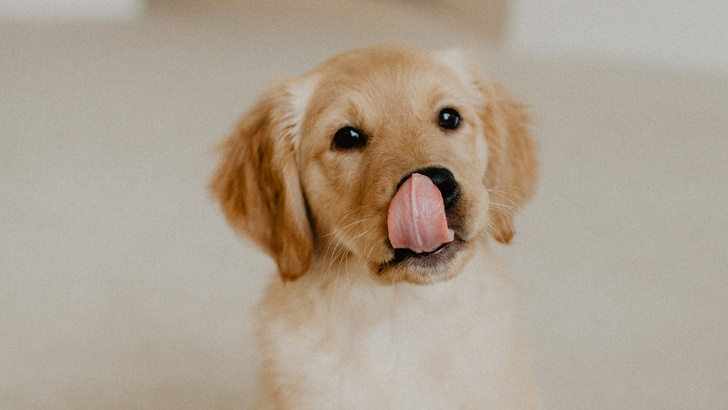 Расчет бюджета