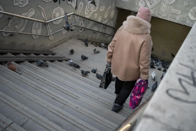 Primorye Deputies Adjust Budget, Reallocate Construction Funds