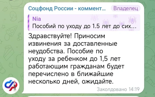 Источник: Социальный фонд России / Telegram 