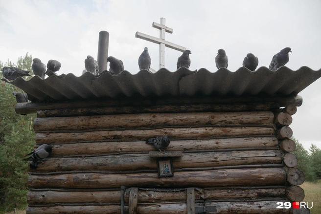 Источник: Иван Митюшёв