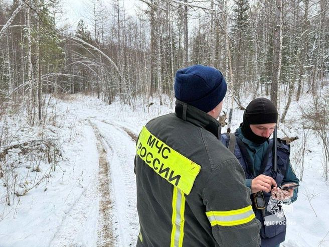За день волонтеры прошли уже 515 километров дорог | Источник: МЧС Красноярского края / Telegram