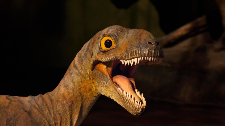 Люди не живут до 200 лет и рано теряют зубы из-за динозавров. Как древние ящеры смогли на нас повлиять?