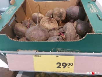 Свекла | Источник: Екатерина Железнова / 93.RU