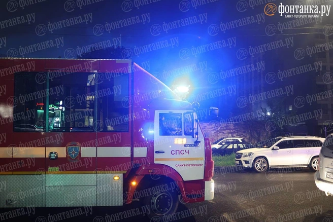 Источник: Дарья Драй / «Фонтанка.ру»