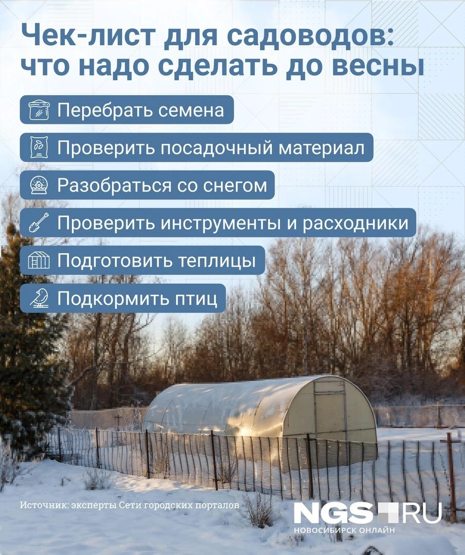 Почему нужно оттаптывать деревья в саду, что делать с мышами на даче в  Новосибирске, февраль 2022 года - 19 февраля 2022 - НГС.ру