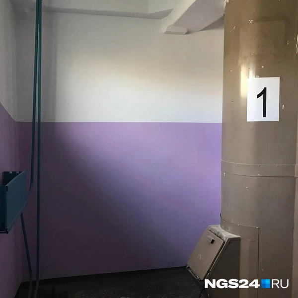 И мусоропровод работает | Источник: Дмитрий Мамаев / NGS24.RU