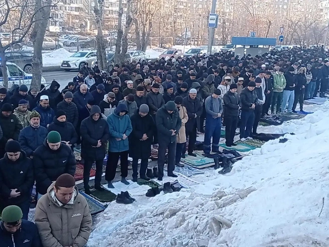 Источник: ТА «Ночные новости»
