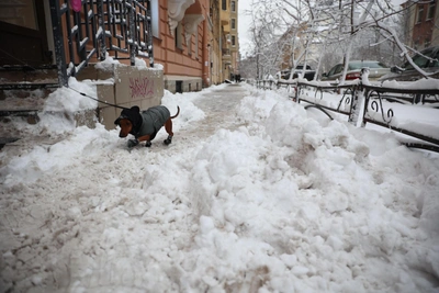 Рязанцы недовольны уборкой снега в новогодней столице