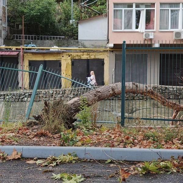 Источник: Янина Павленко