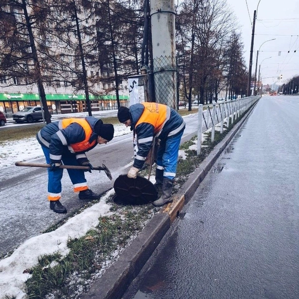 Источник: Комитет по благоустройству Петербурга