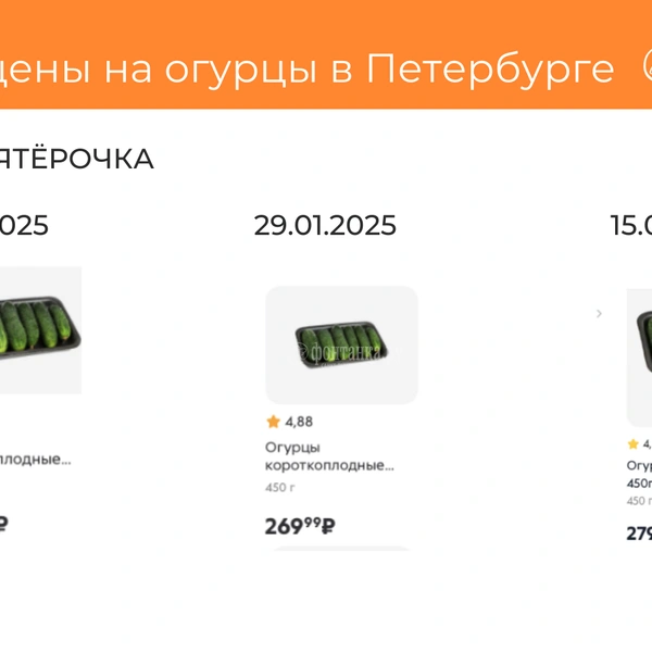 Источник: Светлана Григошина