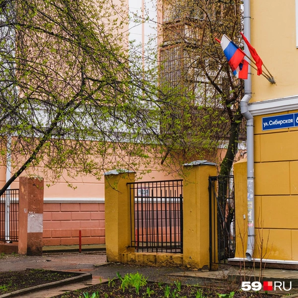 Источник: Тимофей Калмаков / 59.RU