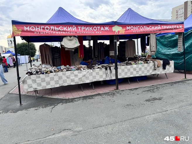 Источник: Юлия Король / 45.RU