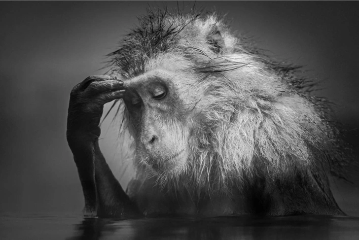 Все оттенки серого: подведены итоги конкурса черно-белых фотографий Exposure One Awards 2025 | Источник: Risto Raunio / Exposure One Awards 2025