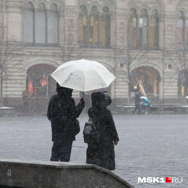 Источник: Татьяна Спиридонова / MSK1.RU