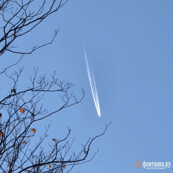 Источник: читательница «Фонтанки» Елена