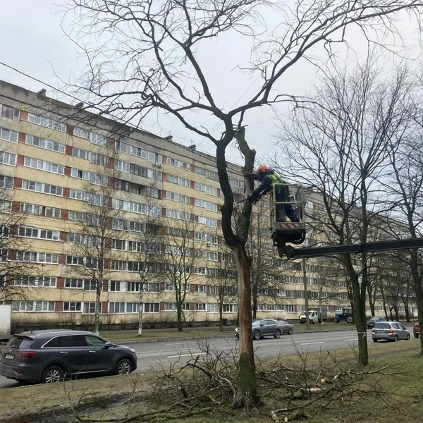 Источник: Комитет по благоустройству