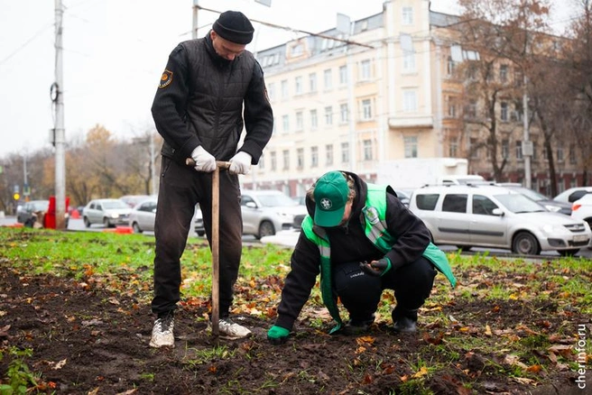 Источник: st.cherinfo.ru